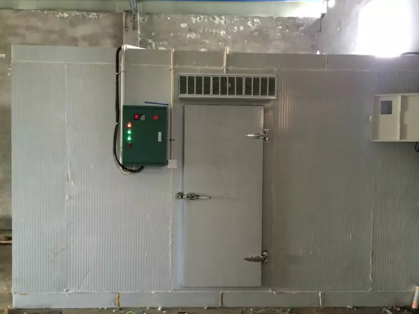 西安乐动在线平台