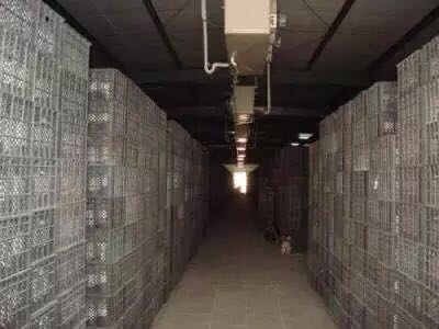 西安乐动在线平台